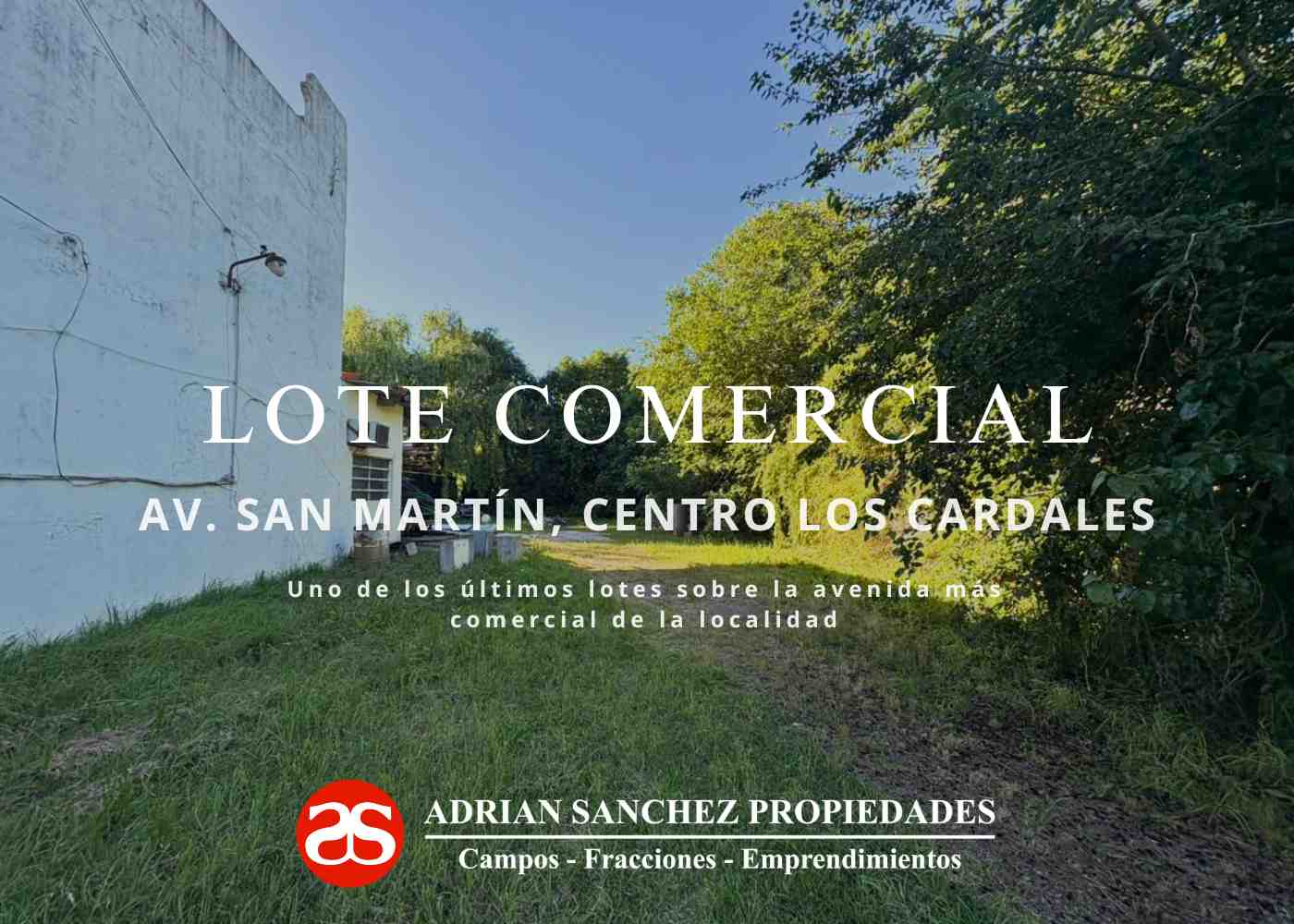 Importante Lote Comercial sobre Avenida San Martin, Centro Los Cardales
