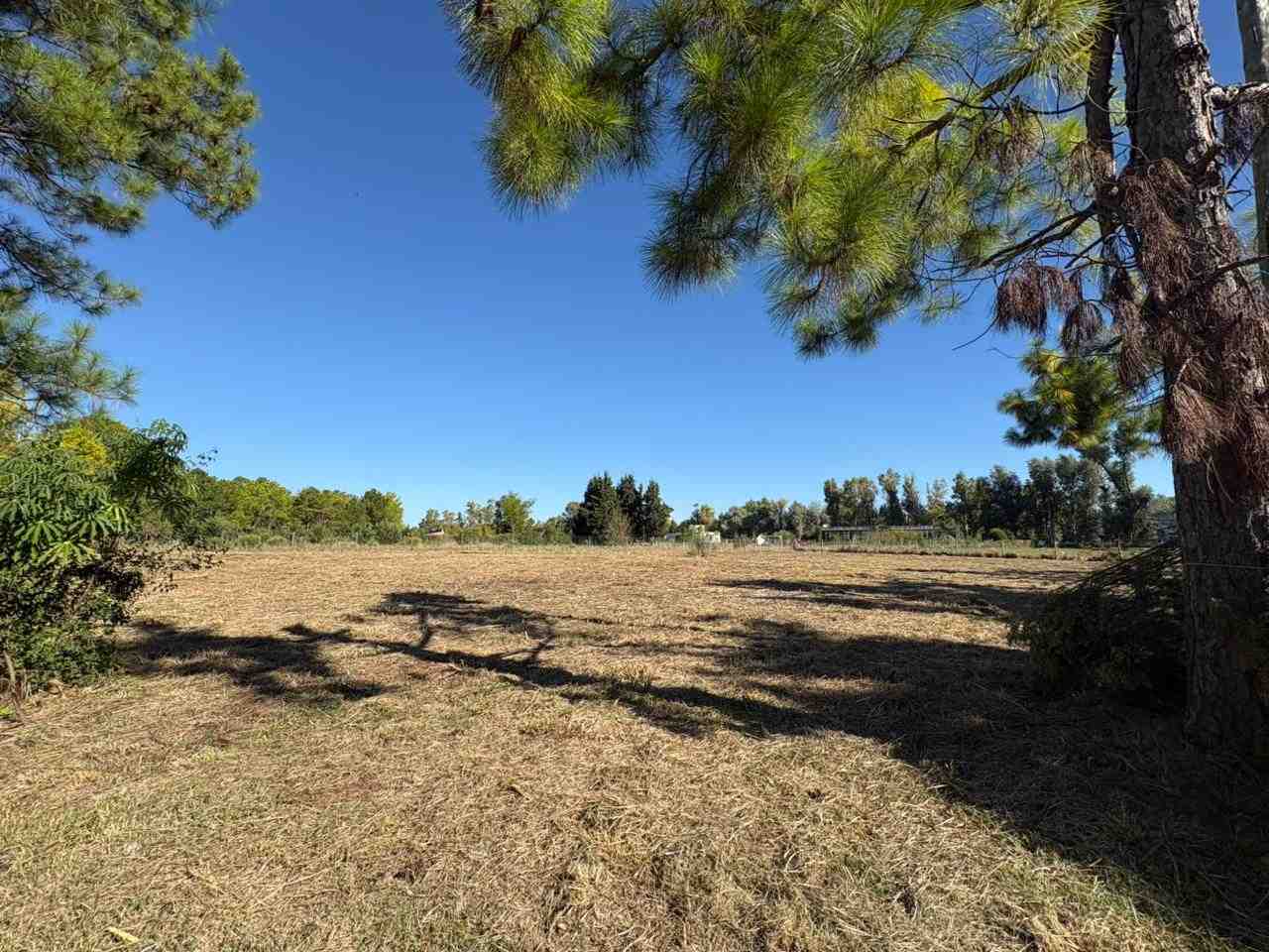 Terreno en Venta en Barrio Altos Las Lomadas, Los Cardales